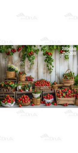 Tło fotograficzne 2861